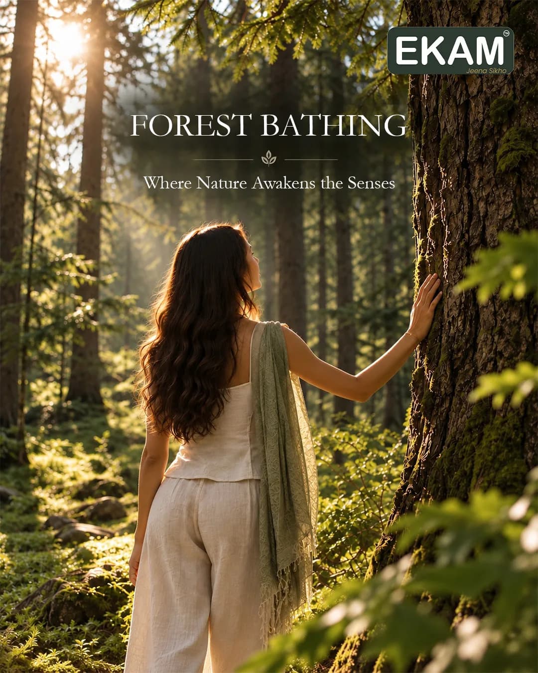 Forest bathing among the cedars