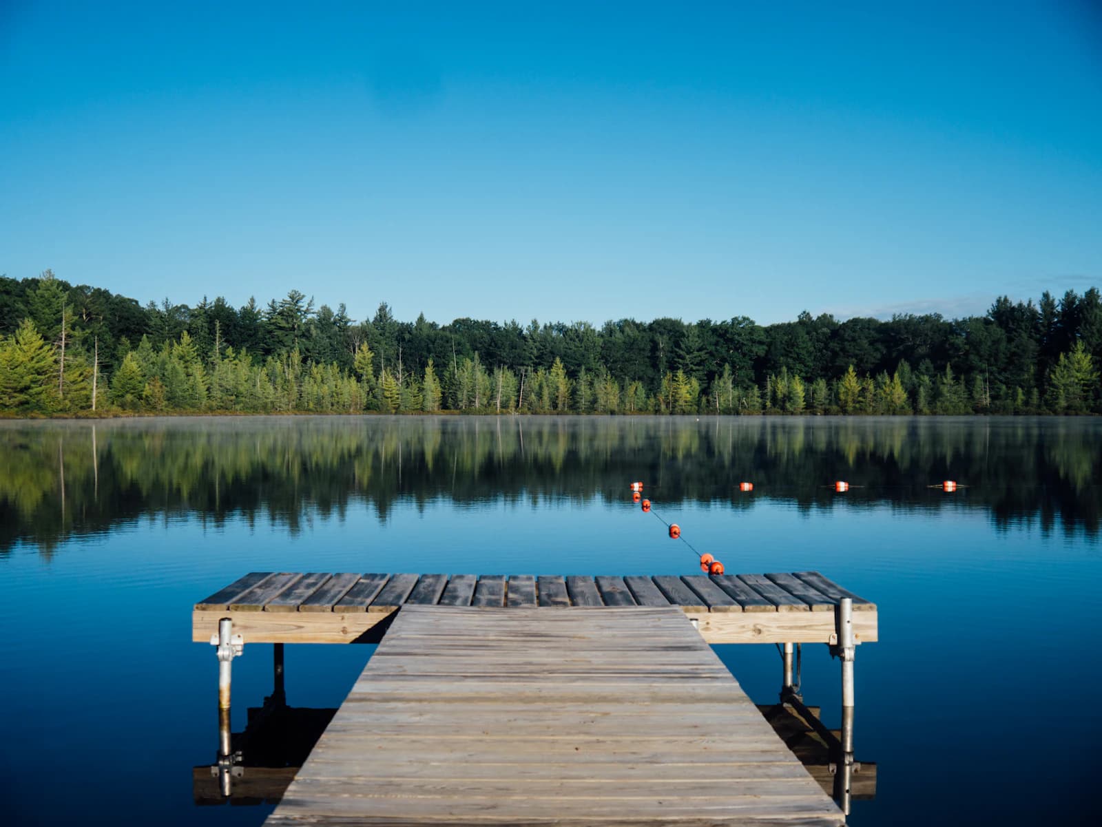 A single water ripple