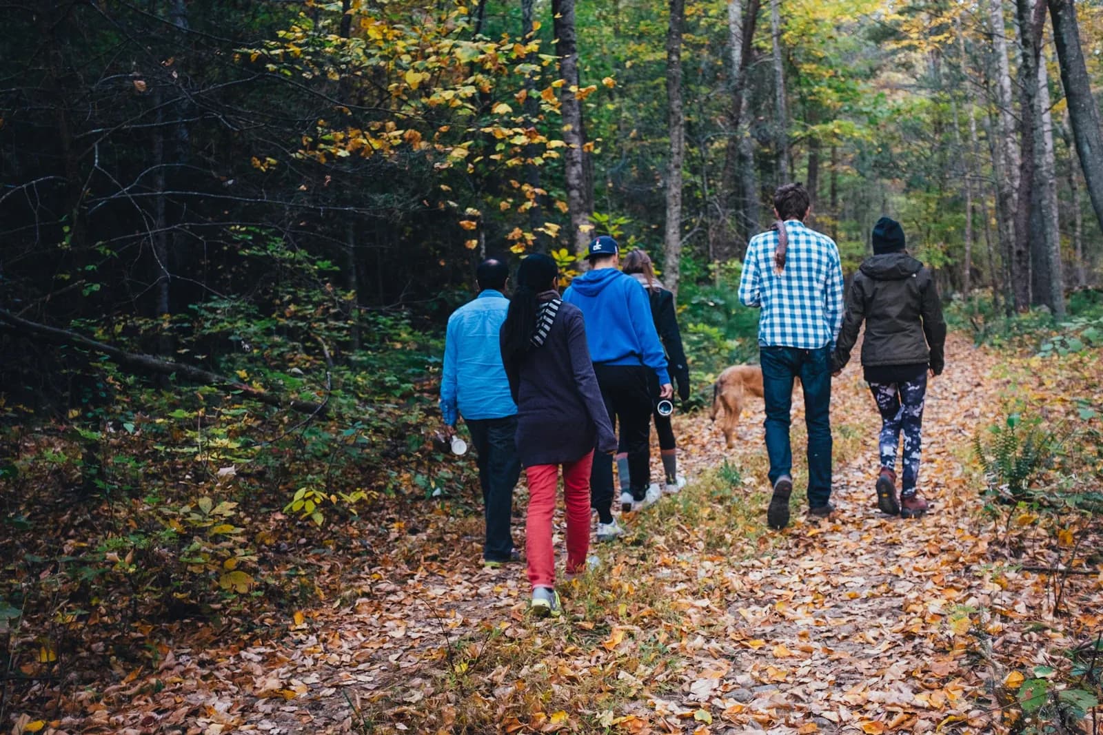 Guests walking together through EKAM's forest grounds