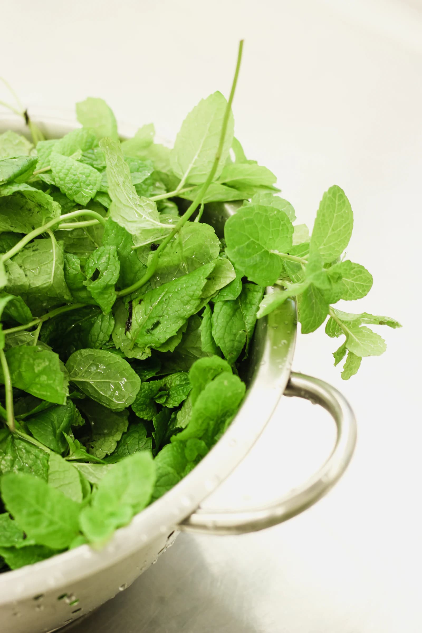 Physician-Guided Herbal Protocol therapy room at EKAM