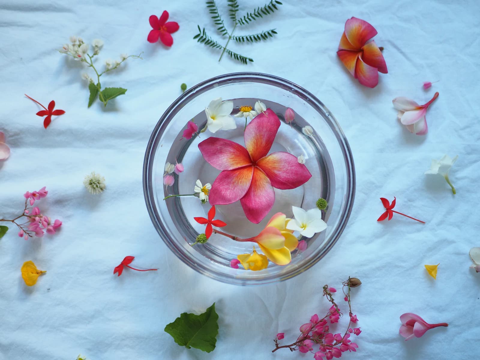 A calming spa water bowl at EKAM