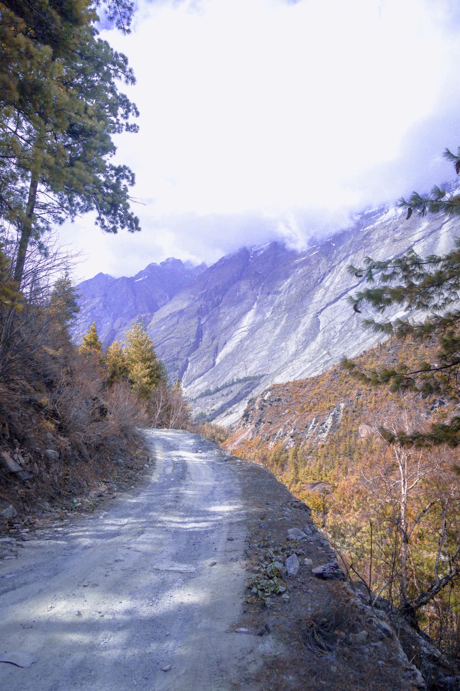Himalayan mountain landscape near Kullu Manali