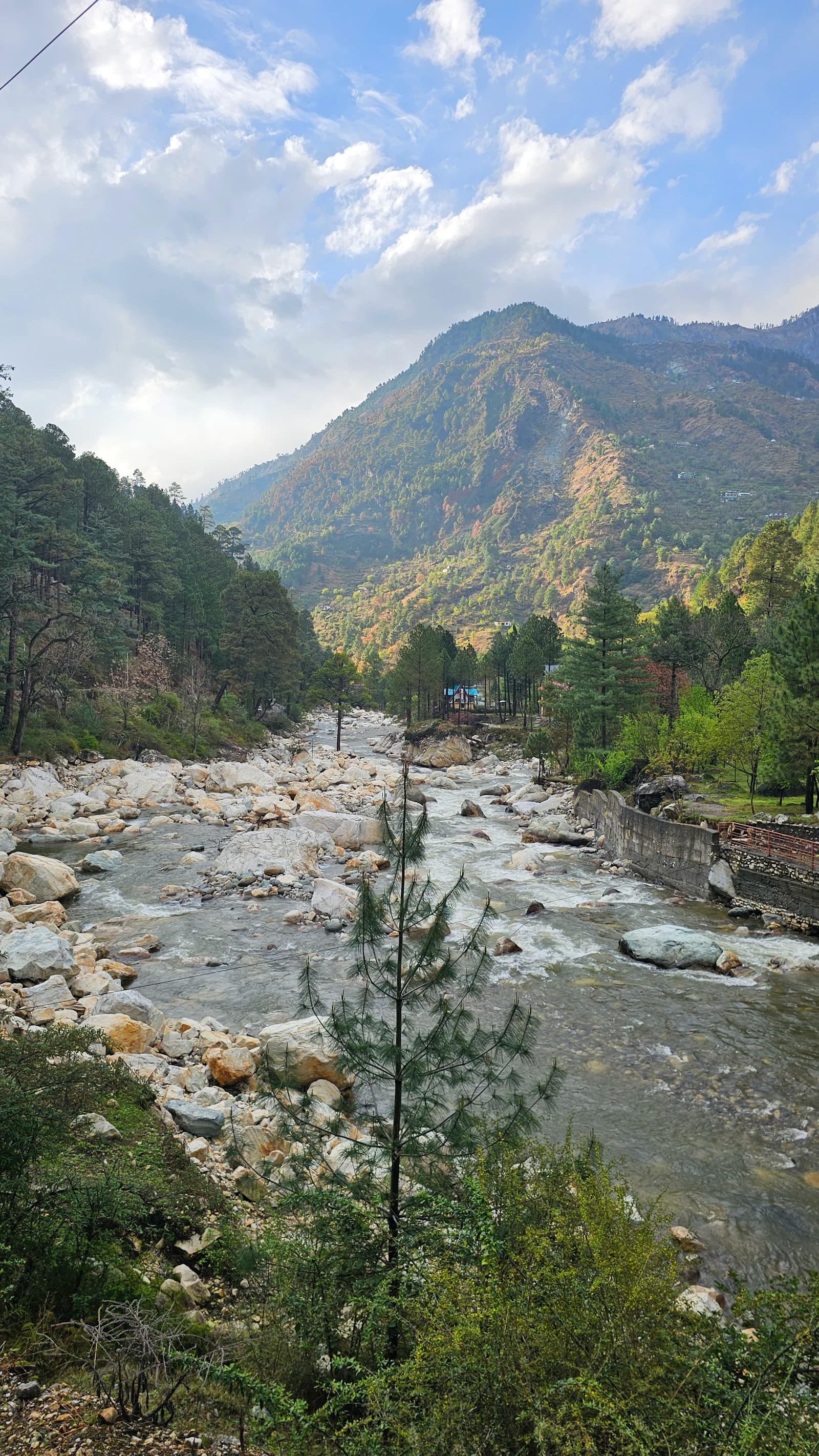 Forest, mountain and river