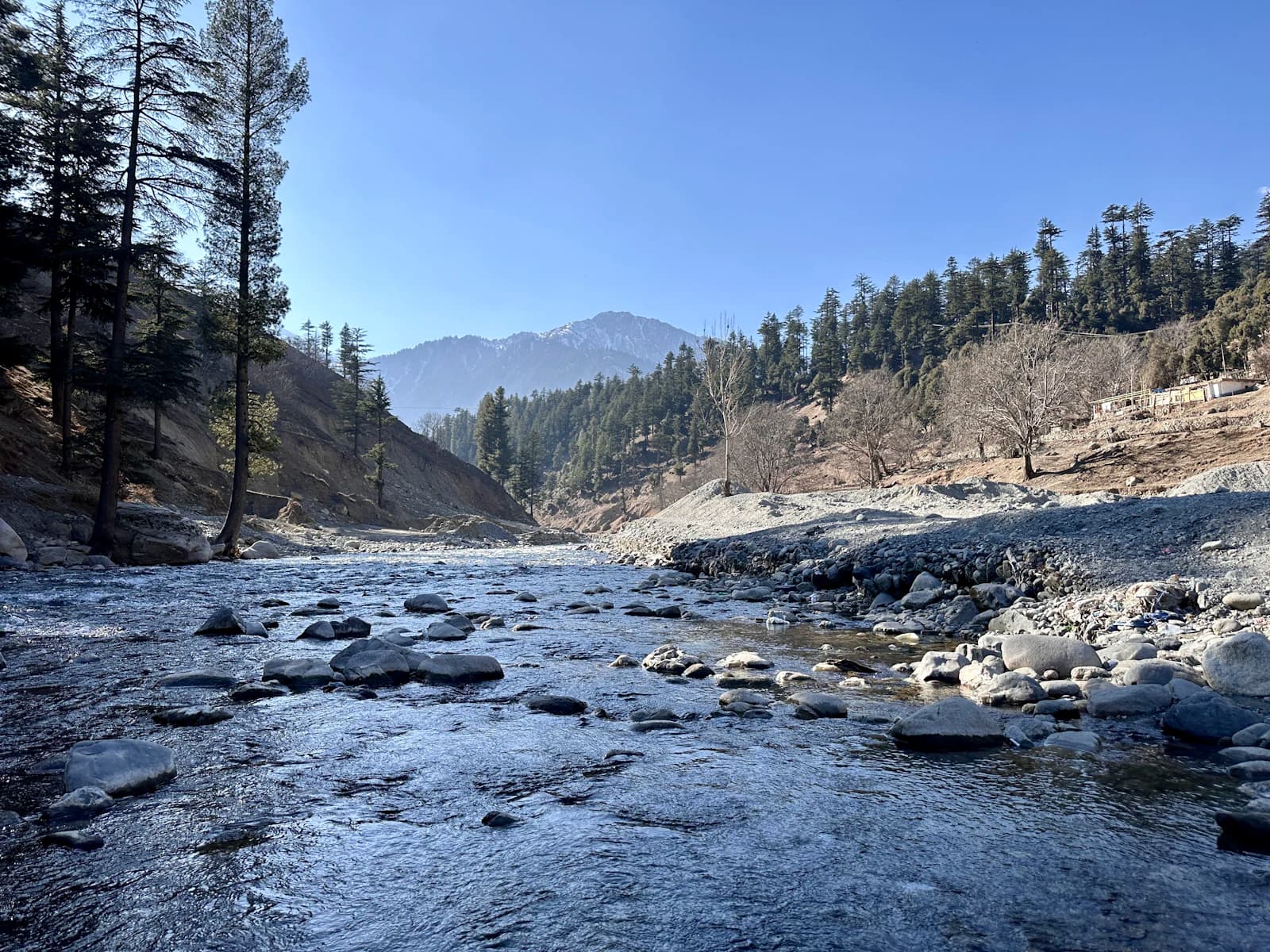 Forest, mountain and river