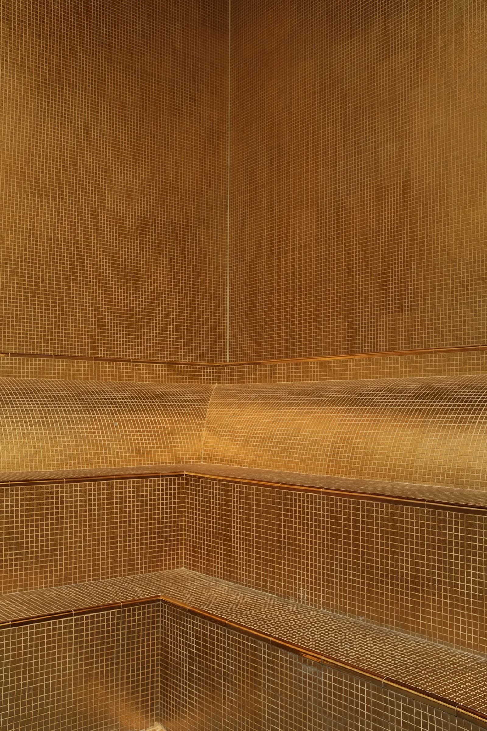 Steam Room therapy at EKAM