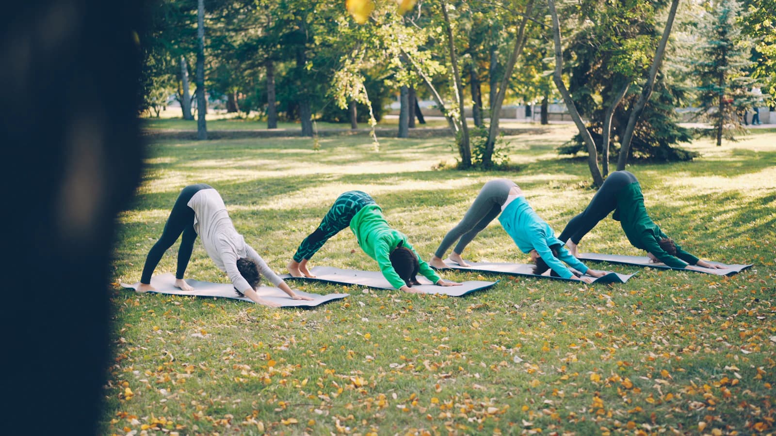 Guided movement practice