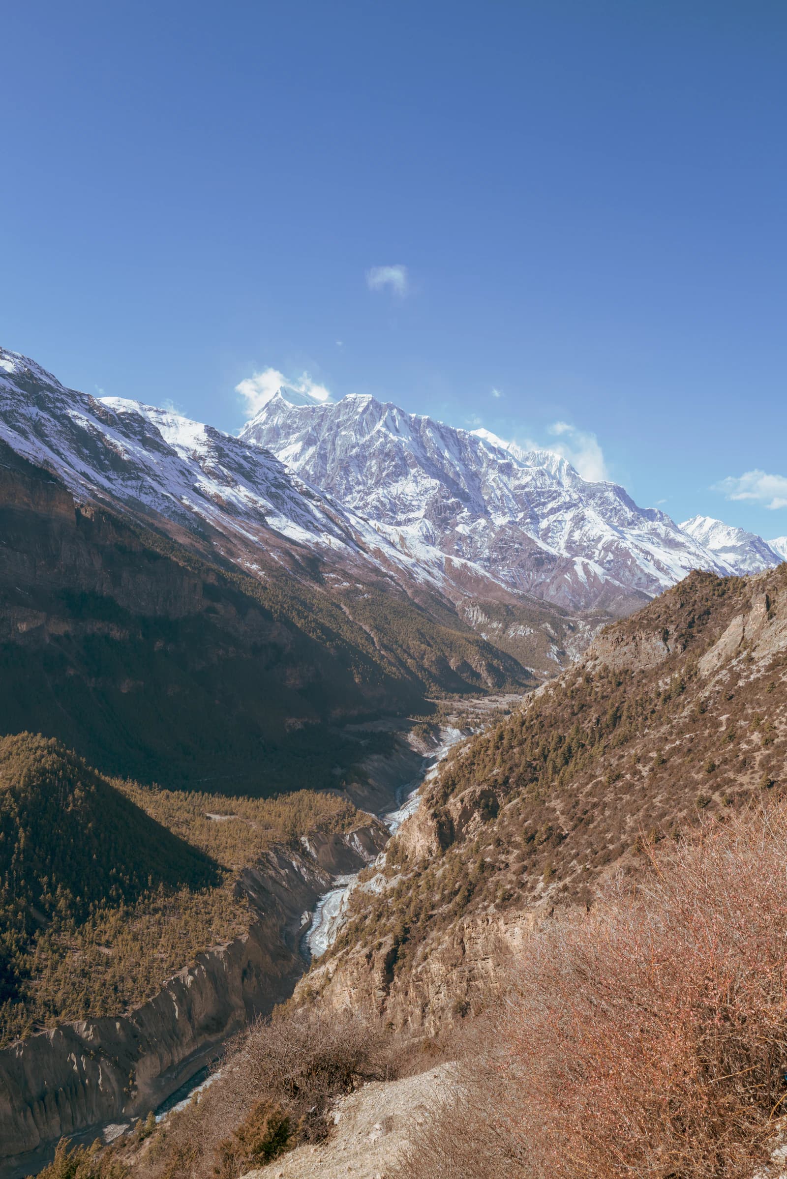 Himalayan mountain landscape near Kullu Manali