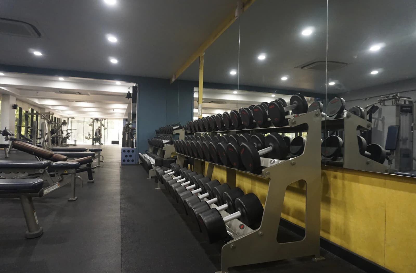 Inside Men’s Vitality