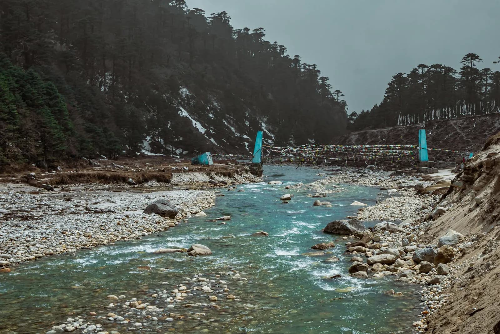 Understanding Your Wellness Journey