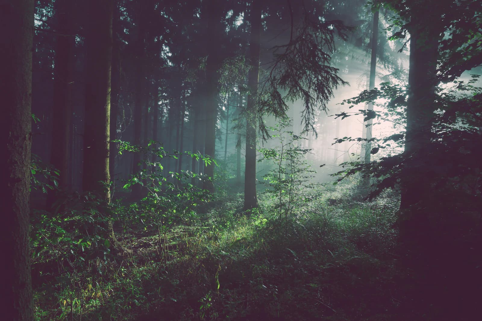 Breathwork therapy setting